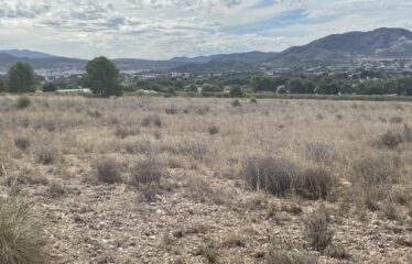 SE VENDE TERRENO EN CRT ALMANSA KM 3,5