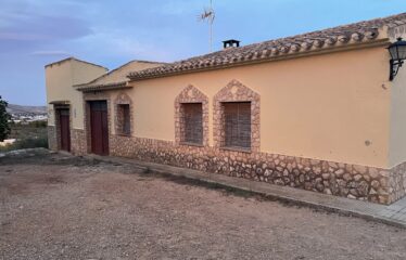 SE VENDE CAMPO A 3,5 KMS POR CRT JUMILLA