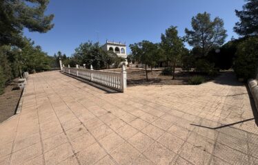 SE VENDE CAMPO A 300MT DE YECLA