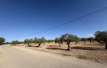 TERRENO EN CAMINO SAX CRT VILLENA KM 4