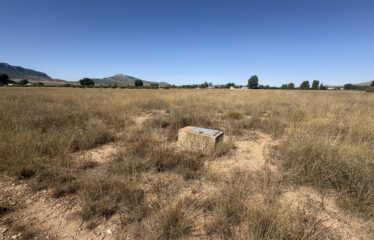 SE VENDE TERRENO EN CRT DE MONTEALEGRE KM2