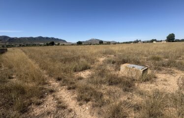 SE VENDE TERRENO EN CRT DE MONTEALEGRE KM2