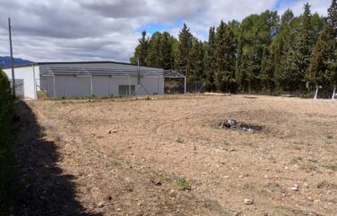 SE VENDE CASA DE CAMPO CON NAVE DE 800M2 EN CRT DE ALMANSA KM 3