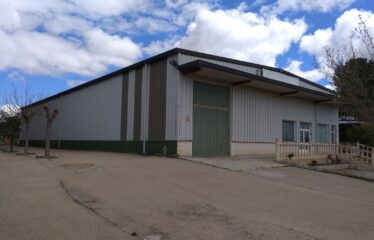 SE VENDE CASA DE CAMPO CON NAVE DE 800M2 EN CRT DE ALMANSA KM 3