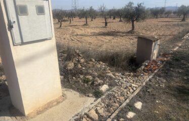 SE VENDE TERRENO EN CRT PINOSO KM 6 UMBRIA LA PAVA