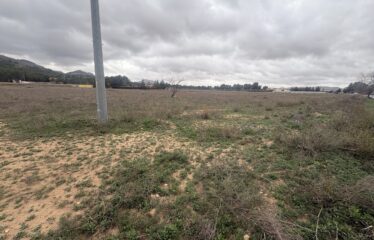 SE VENDE TERRENO EN CRT DE MONTEALEGRE KM 0,5