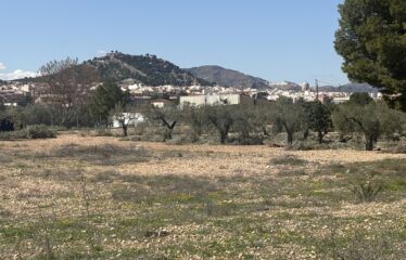 SE VENDE TERRENO CRT VILLENA KM1