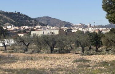 SE VENDE TERRENO CRT VILLENA KM1