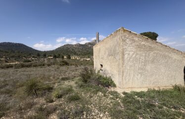 SE VENDE CASA DE CAMPO  EN CRT FUENTEALAMO KM 7