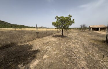 SE VENDE CAMPO CRT MONTEALEGRE KM 1O