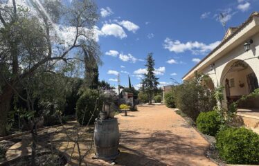 SE VENDE CAMPO EN CRT CAUDETE KM 2,5