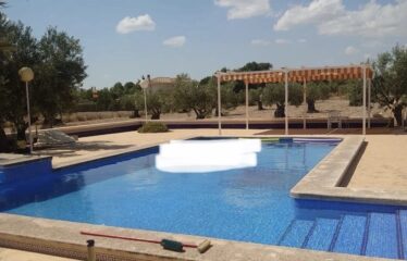 SE VENDE CAMPO EN CRT DE ALMANSA KM 2