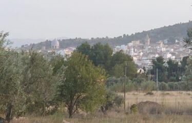 SE VENDE CAMPO EN CRT DE ALMANSA KM 2