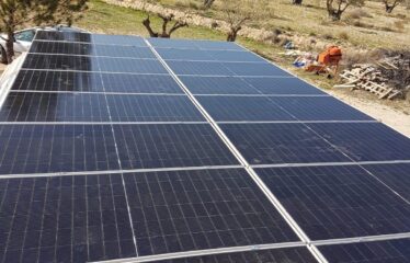 SE VENDE CAMPO EN CRT DE ALMANSA KM 2