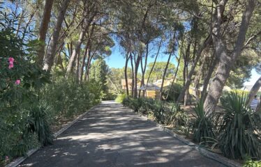 SE VENDE CAMPO EN CRT DE CAUDETE KM1