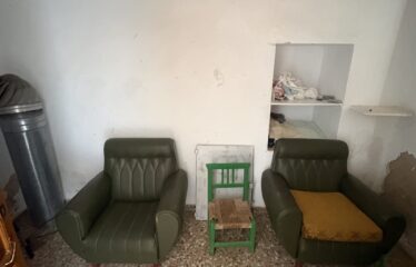 SE VENDE CAMPO EN CRT PINOSO CAMINO SAX KM7