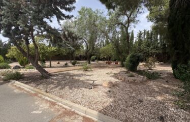 SE VENDE CAMPO EN CRT DE ALMANSA KM2