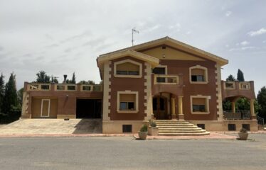 SE VENDE CAMPO EN CRT DE ALMANSA KM2