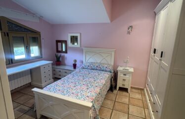 SE VENDE CAMPO EN CRT DE ALMANSA KM2