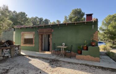 SE VENDE CAMPO EN CRT DE ALMANSA KM18