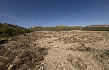 SE VENDE TERRENO EN CRT DE MONTEALEGRE KM7