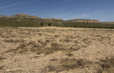 SE VENDE TERRENO EN CRT DE MONTEALEGRE KM7