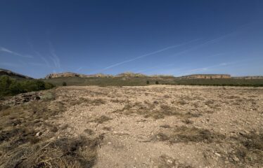 SE VENDE TERRENO EN CRT DE MONTEALEGRE KM7