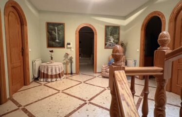 SE VENDE CAMPO EN CRT CAUDETE KM 2,5