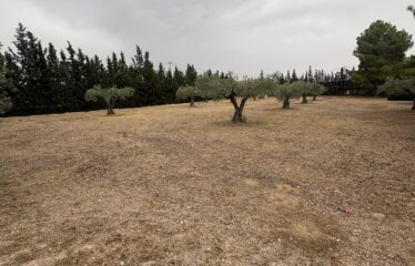 SE VENDE CAMPO EN CRT CAUDETE KM 2,5