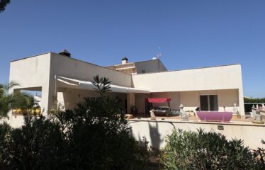 SE VENDE CAMPO EN CRT PINOSO KM 4,5