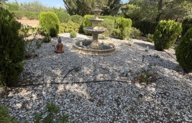 SE VENDE CAMPO EN CRT PINOSO KM 4,5