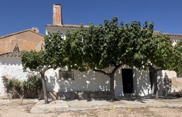 SE VENDE CAMPO EN CRT DE FUENTEALAMO KM16