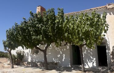 SE VENDE CAMPO EN CRT DE FUENTEALAMO KM16