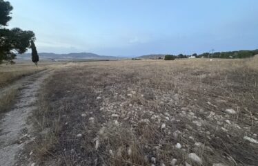 SE VENDEN TERRENOS ZONA GAMELLEJAS Y BOQUERA DEL CARCHE